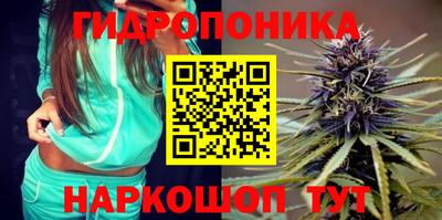 индика Кулебаки