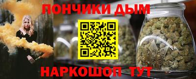 индика Кулебаки
