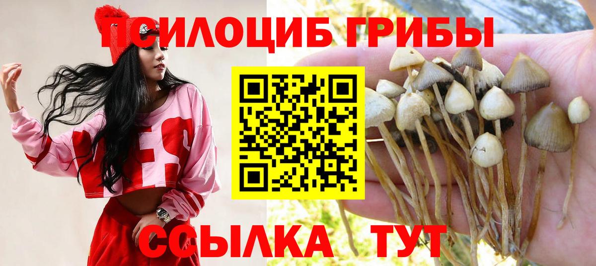 Псилоцибиновые грибы MAGIC MUSHROOMS Красноярск